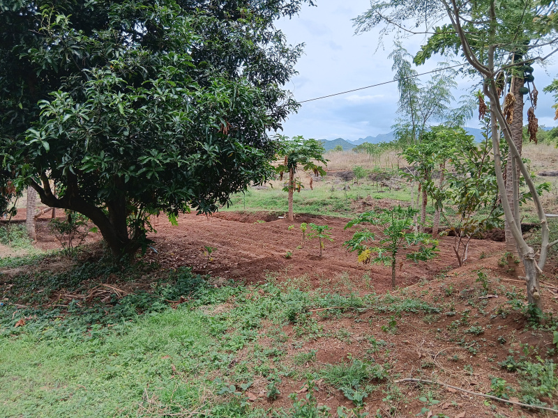  Agricultural Land 3 Acre for Sale in Gudalur, Theni