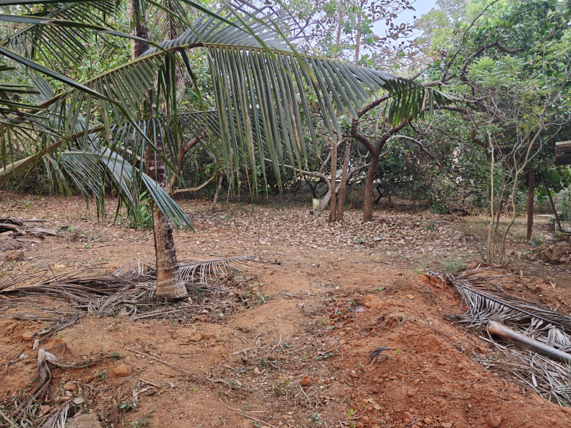  Residential Plot 16 Cent for Sale in Brahmavar, Udupi