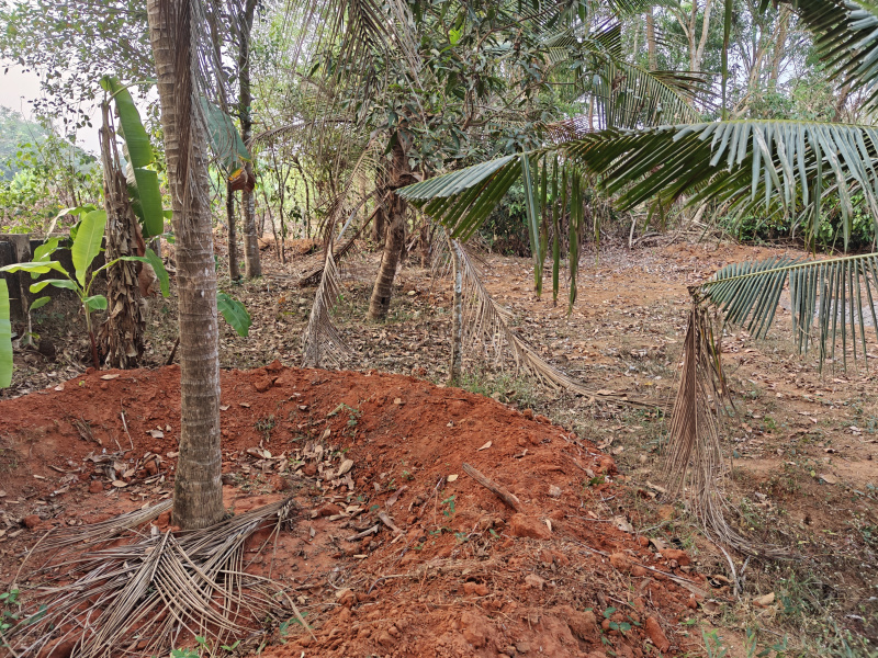  Residential Plot 16 Cent for Sale in Brahmavar, Udupi