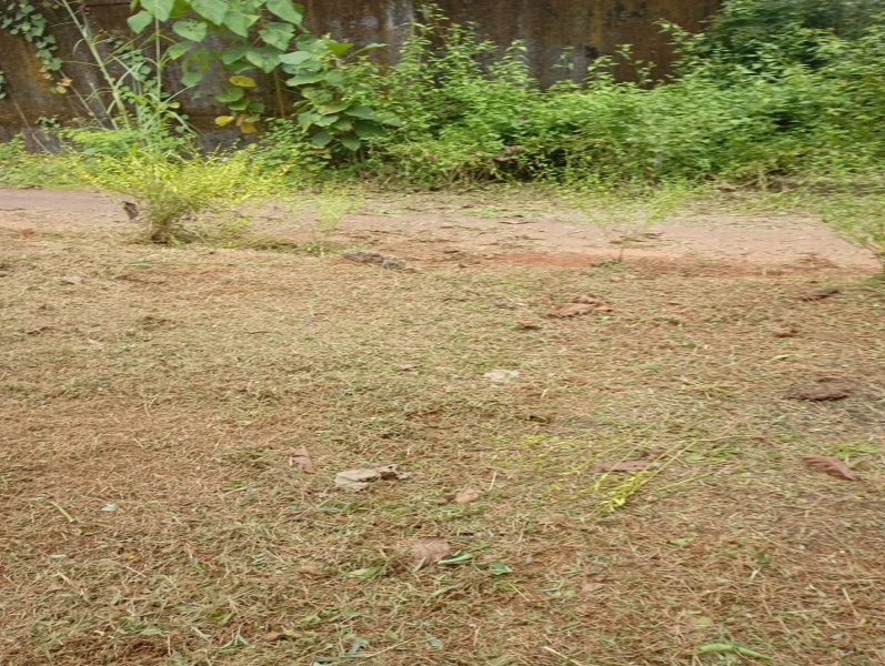 25 Cent Residential Plot for Sale in Mulki, Mangalore