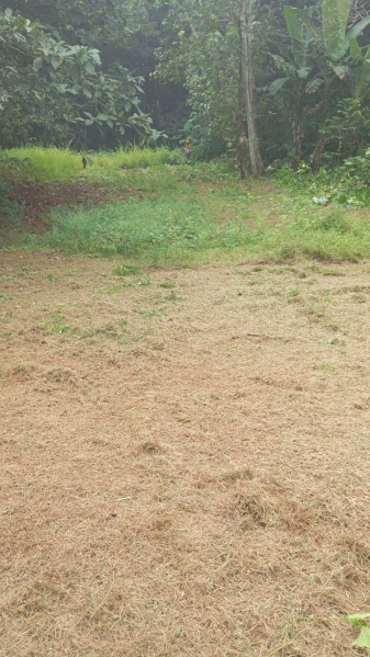 25 Cent Residential Plot for Sale in Mulki, Mangalore