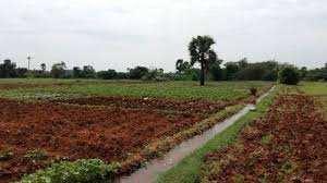  Agricultural Land for Sale in Kolad, Raigad