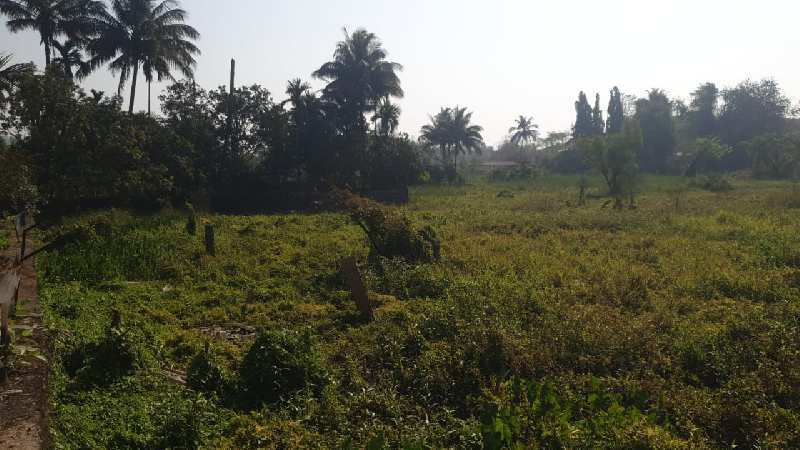 Agricultural Land 2 Guntha for Sale in