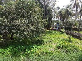  Residential Plot for Sale in Kundannoor, Kochi