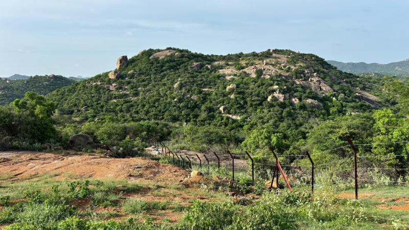 Marrigudem, Nalgonda photo 3