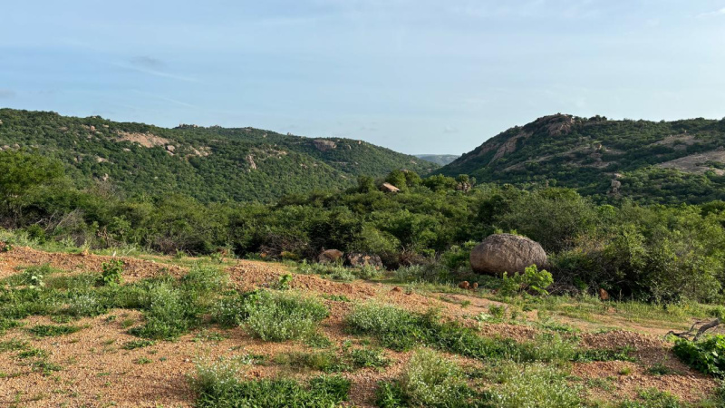 Marrigudem, Nalgonda photo 4