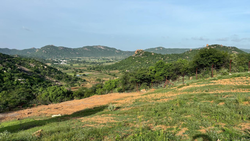 Marrigudem, Nalgonda photo 5