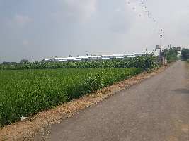  Industrial Land for Sale in Doraha, Ludhiana