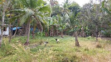  Residential Plot for Sale in Pattanakkad, Alappuzha