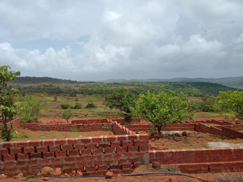  Residential Plot for Sale in Dapoli Camp, Ratnagiri