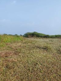  Agricultural Land for Sale in Nadendla, Guntur