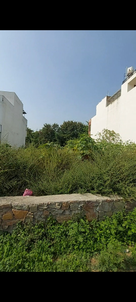  Residential Plot 3000 Sq.ft. for Sale in Chitrakoot Nagar, Udaipur