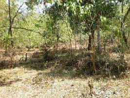  Residential Plot for Sale in Curti, Goa