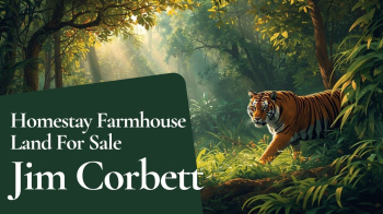  Agricultural Land for Sale in Ramnagar, Nainital