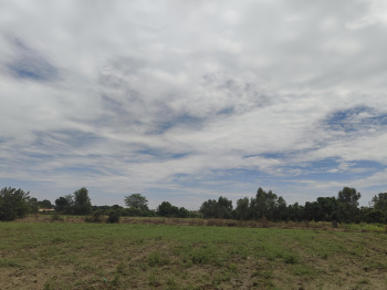  Residential Plot for Sale in Ramnagar, Nainital