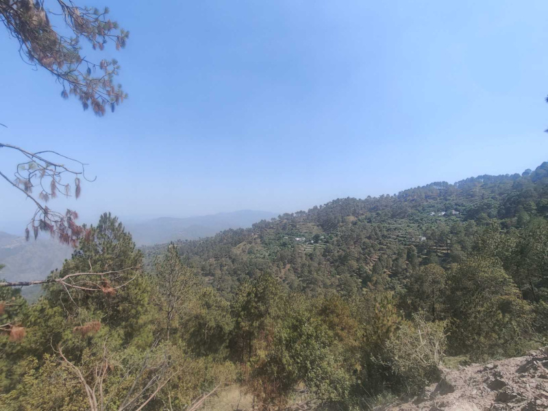 Manila, Almora photo 5