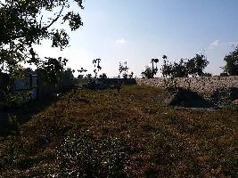  Agricultural Land for Sale in Nemam, Chennai