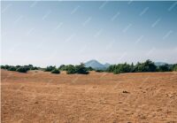 Agricultural Land for Sale in Vasudevanallur, Tirunelveli