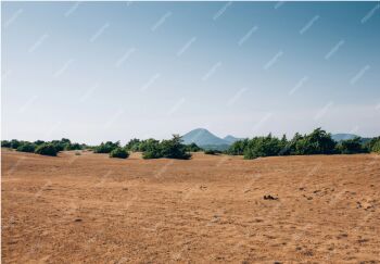  Agricultural Land for Sale in Vasudevanallur, Tirunelveli