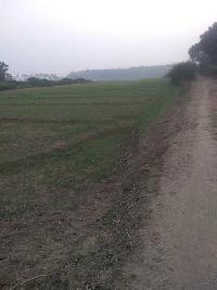  Agricultural Land for Sale in Gola Gokarannath, Lakhimpur Kheri