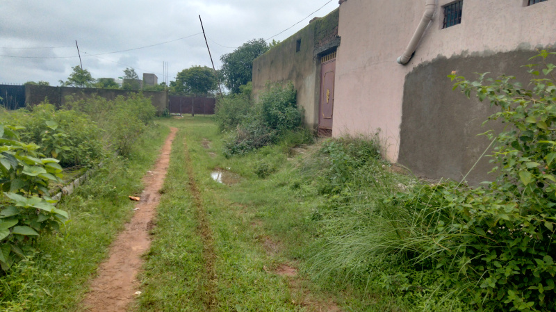  Residential Plot 1524 Sq.ft. for Sale in Hatia, Ranchi