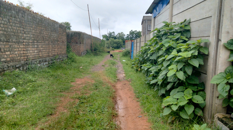  Residential Plot 1524 Sq.ft. for Sale in Hatia, Ranchi