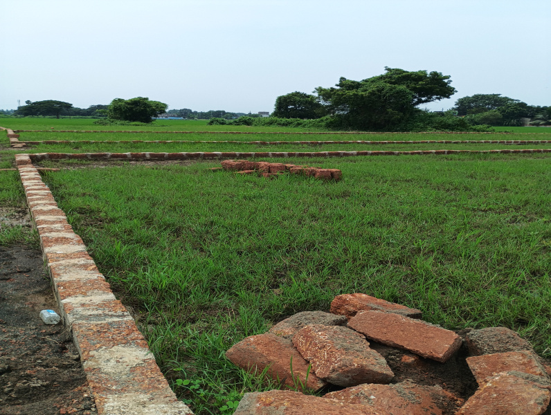 Balianta, Bhubaneswar photo 3