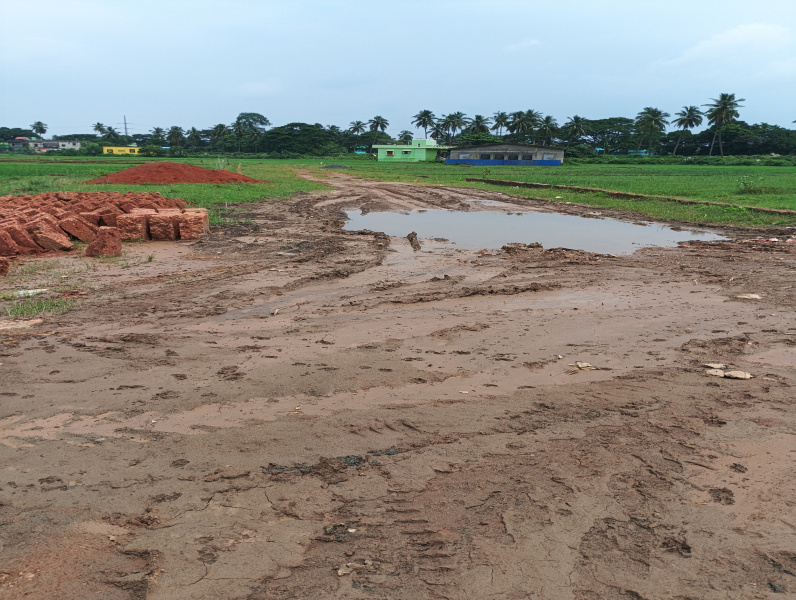 Balianta, Bhubaneswar photo 4