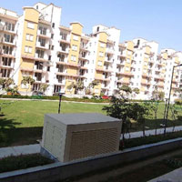 3 BHK Flat for Sale in Sector 65 Gurgaon