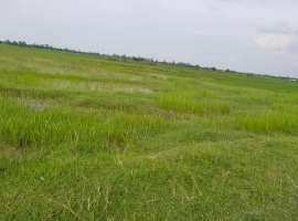  Agricultural Land for Sale in Madanpur, Nadia