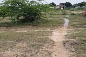  Residential Plot for Sale in Kakkalapalli, Anantapur