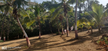  Commercial Land for Sale in Nagaon, Alibag, Raigad