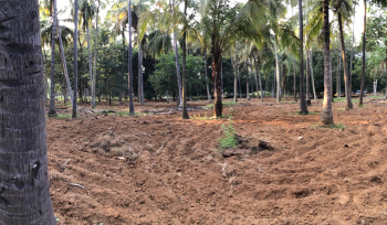  Agricultural Land for Sale in Rajapalayam, Virudhunagar