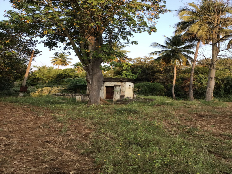  Agricultural Land 150 Cent for Sale in Rajapalayam, Virudhunagar