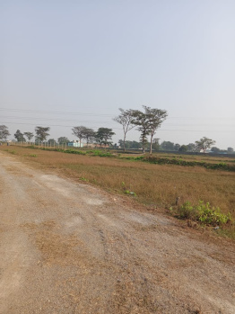  Residential Plot for Sale in Sejbahar, Raipur