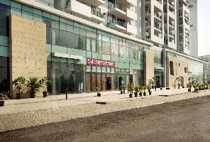  Commercial Shop for Rent in Sector 49 Gurgaon