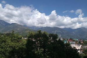  Residential Plot for Sale in Chilgari, Dharamsala
