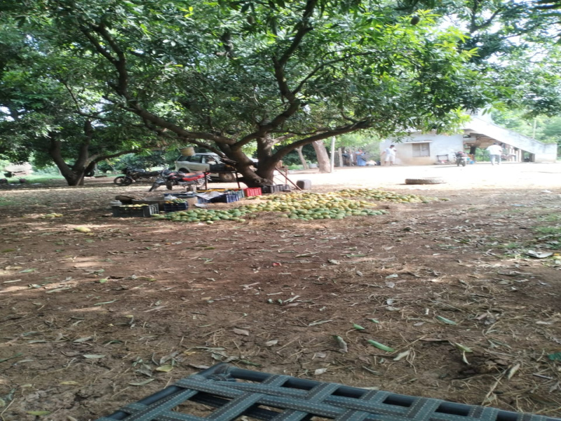  Residential Plot 300 Sq. Yards for Sale in Aminpur, Hyderabad