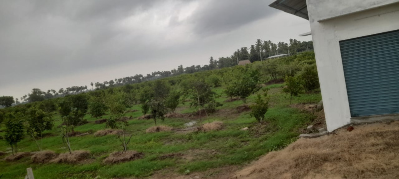  Residential Plot 2 Acre for Sale in Tellapur, Hyderabad