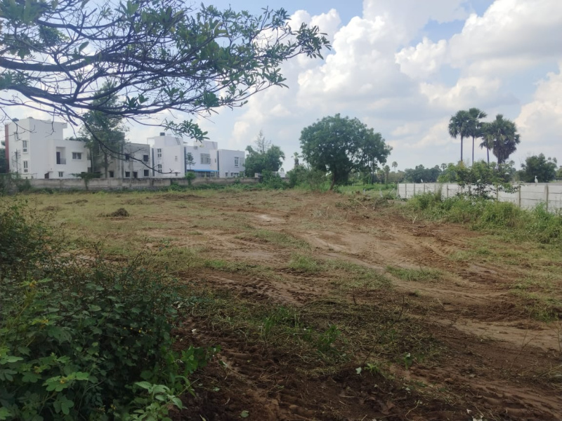  Agricultural Land 20 Acre for Sale in Shankarpally, Rangareddy