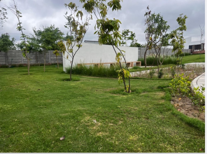  Residential Plot 179 Sq. Yards for Sale in Sector 34, Sonipat