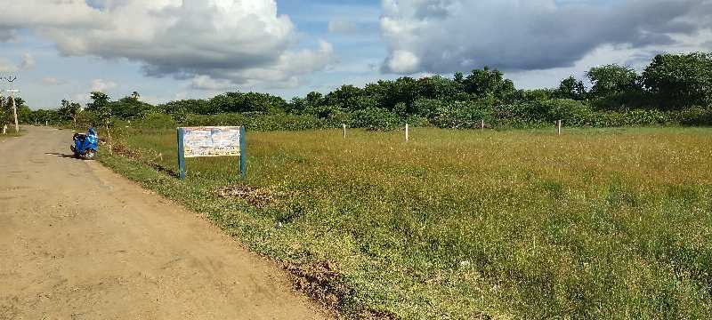  Residential Plot 800 Sq.ft. for Sale in Needamangalam, Thiruvarur