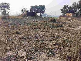  Agricultural Land for Sale in Ramnagar, Varanasi