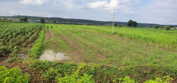  Agricultural Land for Sale in Anantagiri Hills, Vikarabad