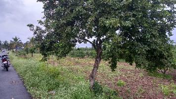  Agricultural Land for Sale in Pochampalli, Krishnagiri