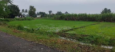  Agricultural Land for Sale in Sankarapuram, Villupuram
