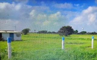  Agricultural Land for Sale in Dharapuram, Tirupur