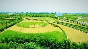  Residential Plot for Sale in Dunda, Raipur
