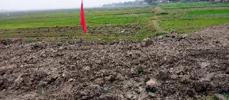  Residential Plot for Sale in Maniram, Gorakhpur