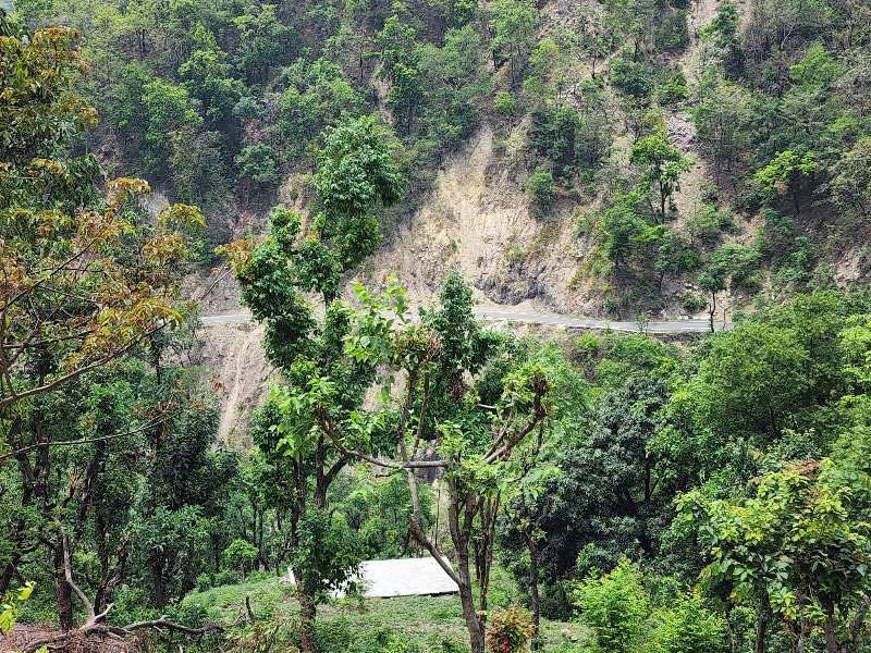 200 Sq. Yards Residential Plot for Sale in Narendra Nagar, Rishikesh (REI1057766)